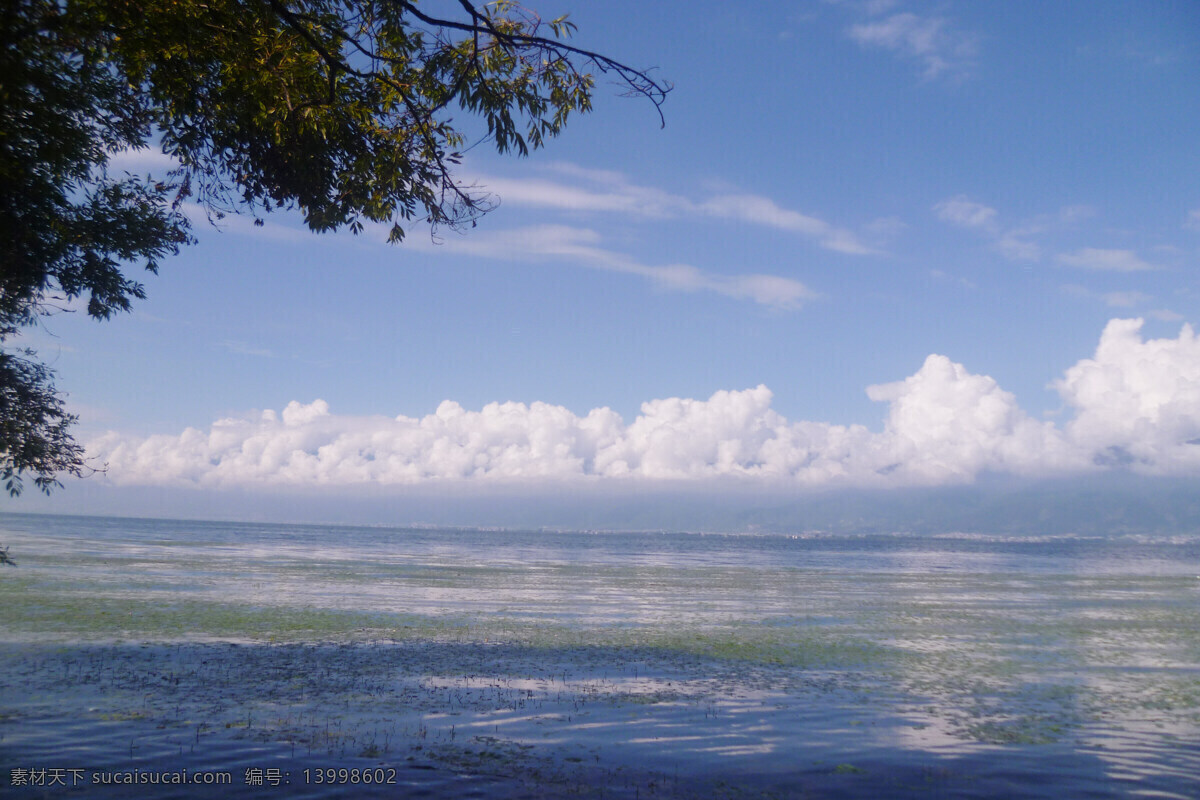 云南风光 大理洱海风光 洱海双廊 洱海湿地 湖水 蓝天 白云 旅游摄影 自然风景