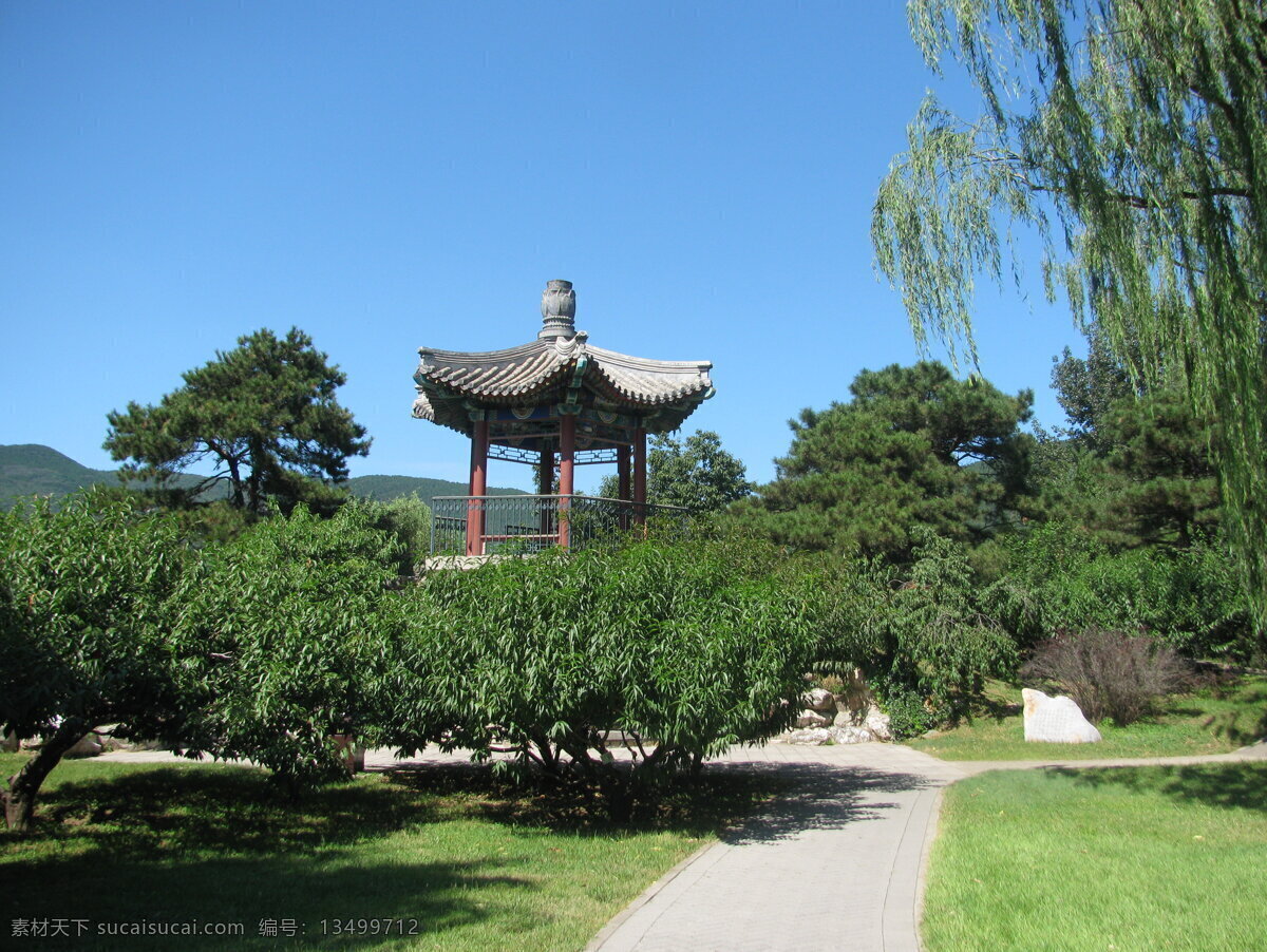 植物园风景 植物园美景 凉亭 亭子 小路 园林美景 蓝天白云 垂柳 绿化景观 绿树 绿地 树木 草地 花草 园林景观 公园美景 园林风景 建筑园林 园林建筑