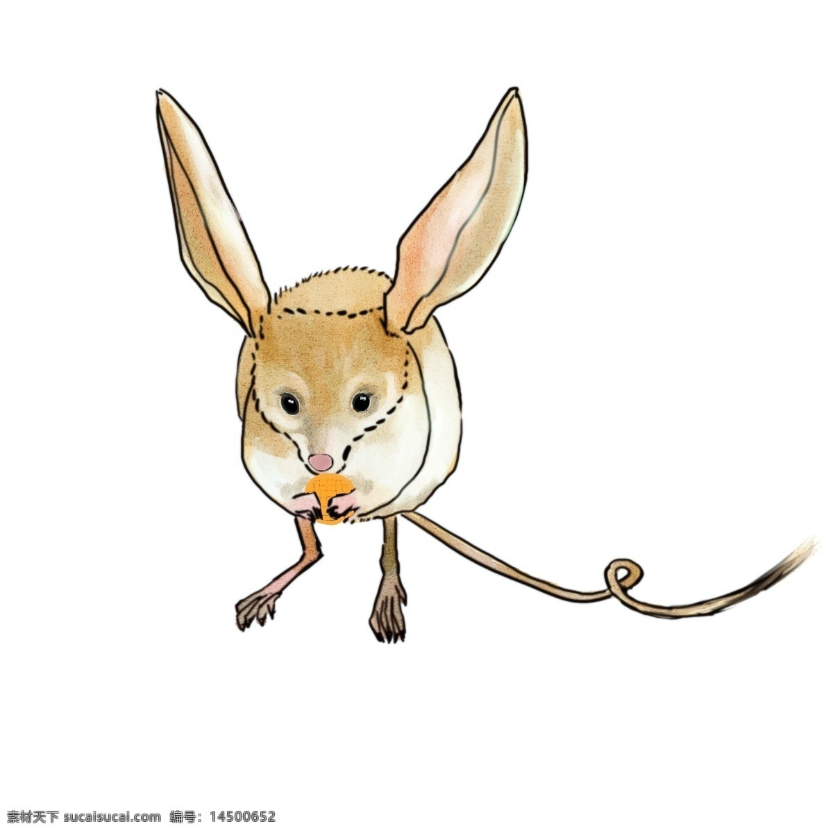 手绘 水彩 绘 卡通 沙漠 鼠 动漫动物 动物装饰 卡通动画 扁平动物 动漫 动物 可爱 插画 油彩 绘本 沙漠鼠 老鼠