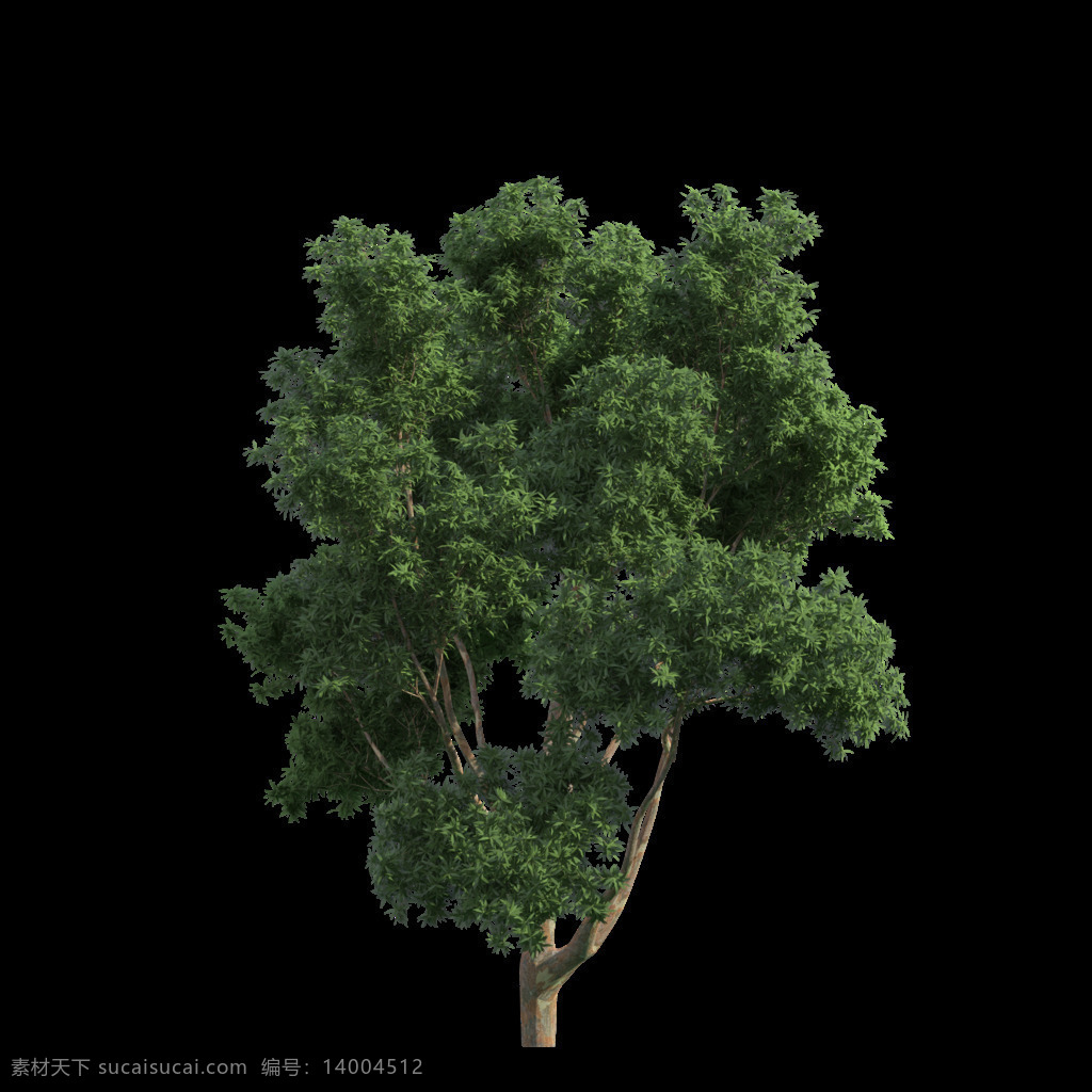 绿色 茂密 大树 元素 png元素 绿叶 免抠元素 树木 透明素材 夏天 植物