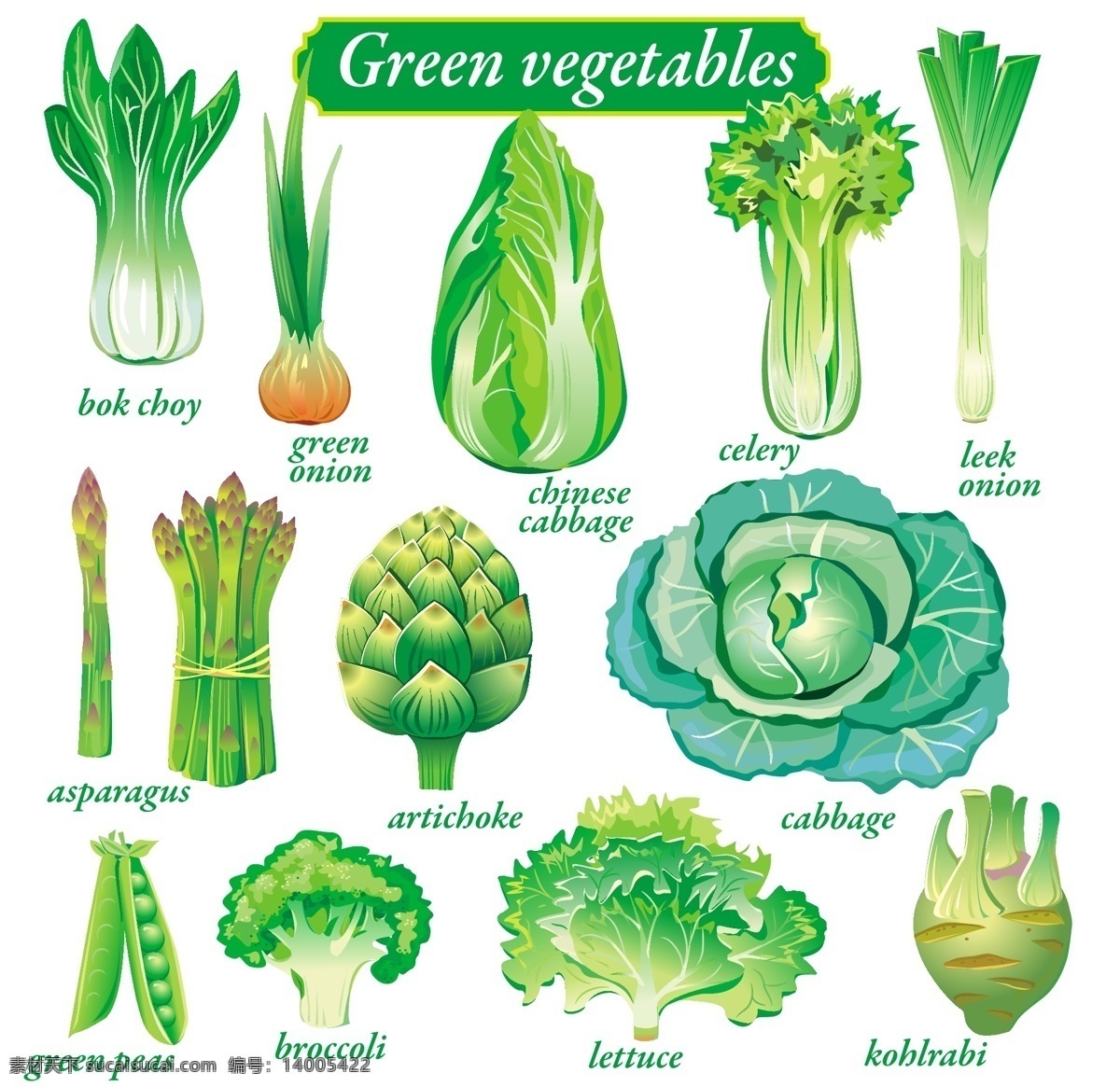 水果 蔬菜 矢量 肉类 水果蔬菜 黑色和白色 背景 可爱 剪影 图标 水果和蔬菜 水果蔬菜矢量 其他矢量图