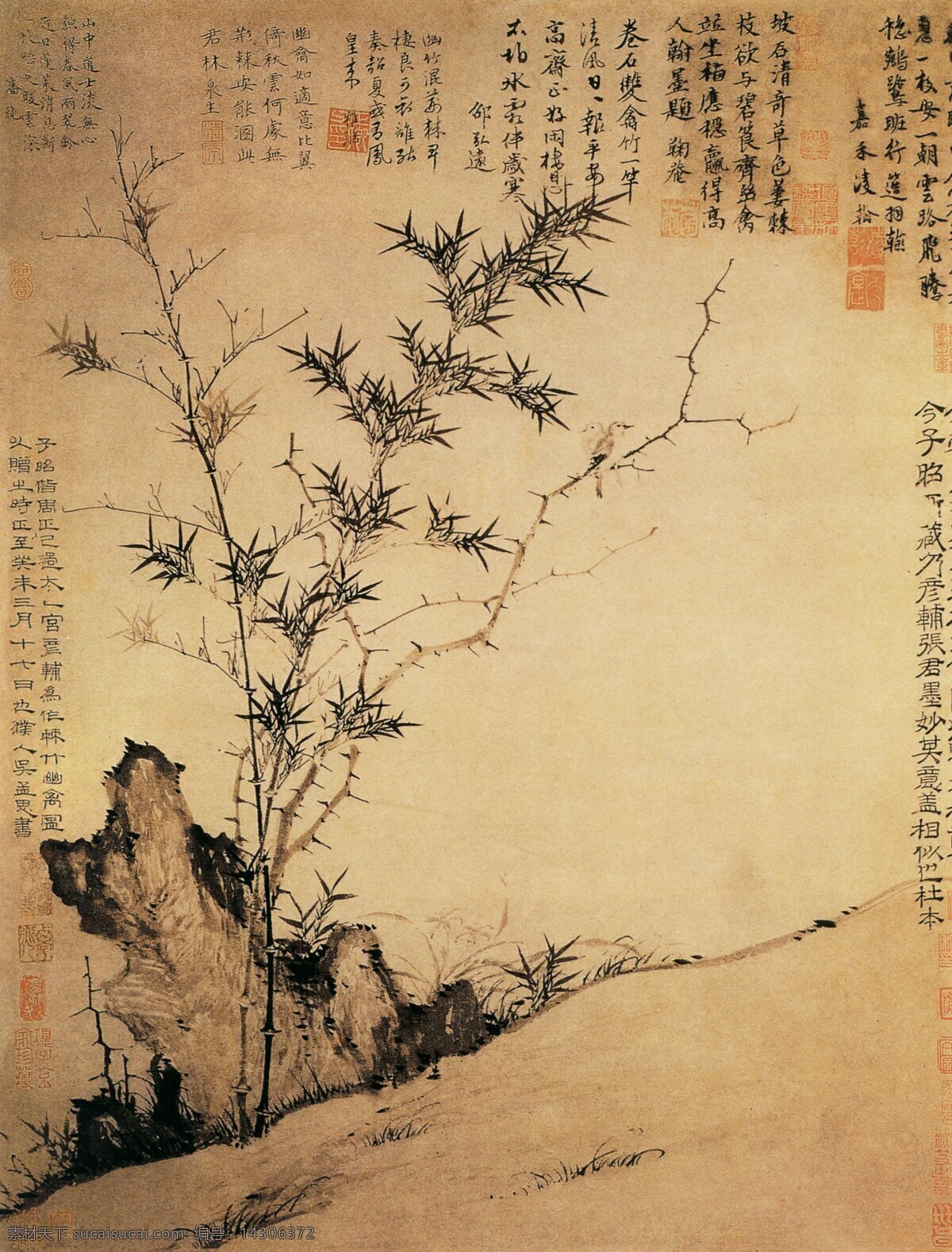 古典 花鸟画 竹子 中国传世名画 古典花鸟画 文化艺术