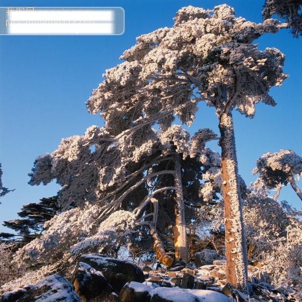 中华 名山 风景图片 旅游摄影 摄影图 中华名山 风景 生活 旅游餐饮