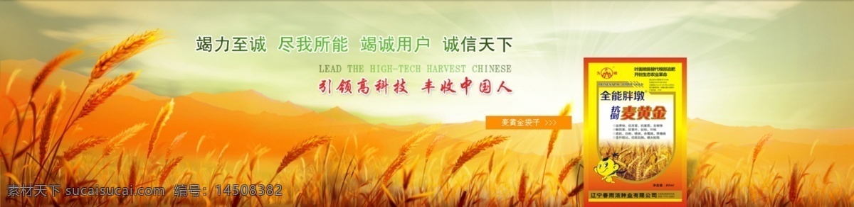 化肥 海报 图片psd 原创设计 原创淘宝设计
