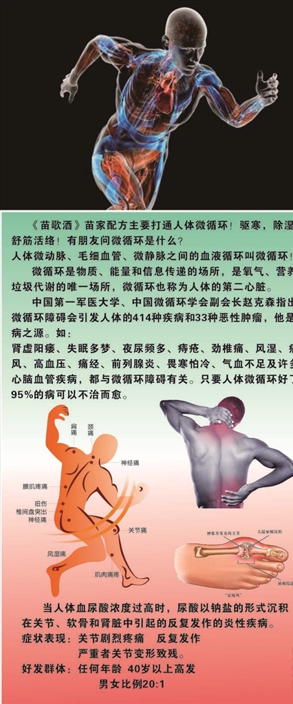 人体微循环 苗歌 人体 微循环 风湿 足痛风 风湿痛 神经痛