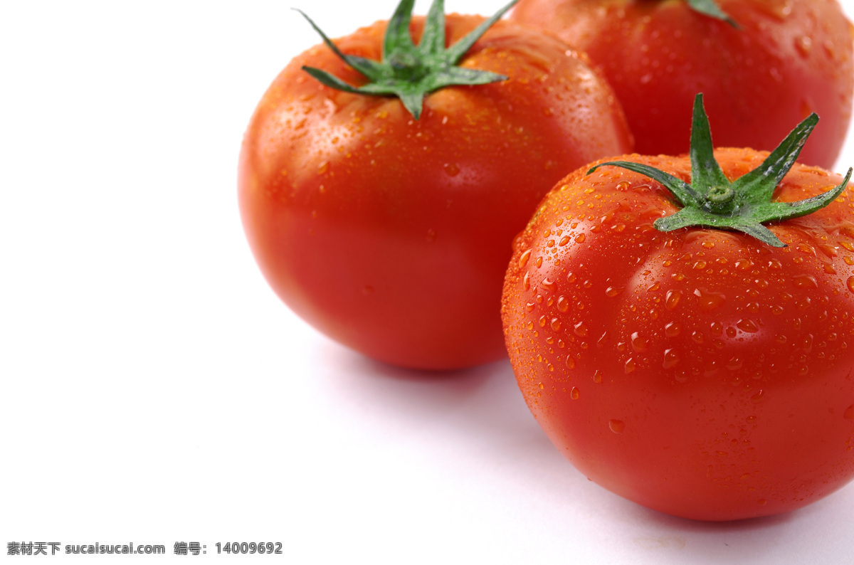 设计素材 湿漉漉 番茄 红色 蔬菜 水珠 西红柿