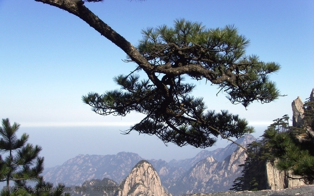 绝美黄山 黄山风景 黄山图片 黄山绝景 黄山奇景 安徽黄山 美丽黄山 黄山云海 黄山海市蜃楼 极品黄山图片 秀美黄山 黄山旅游 黄山松 黄山 风景摄影 自然景观 风景名胜