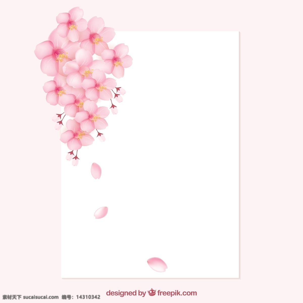 带 樱花 空白 纸 框 花 边框 模板 春天 花的边界 开花 白色
