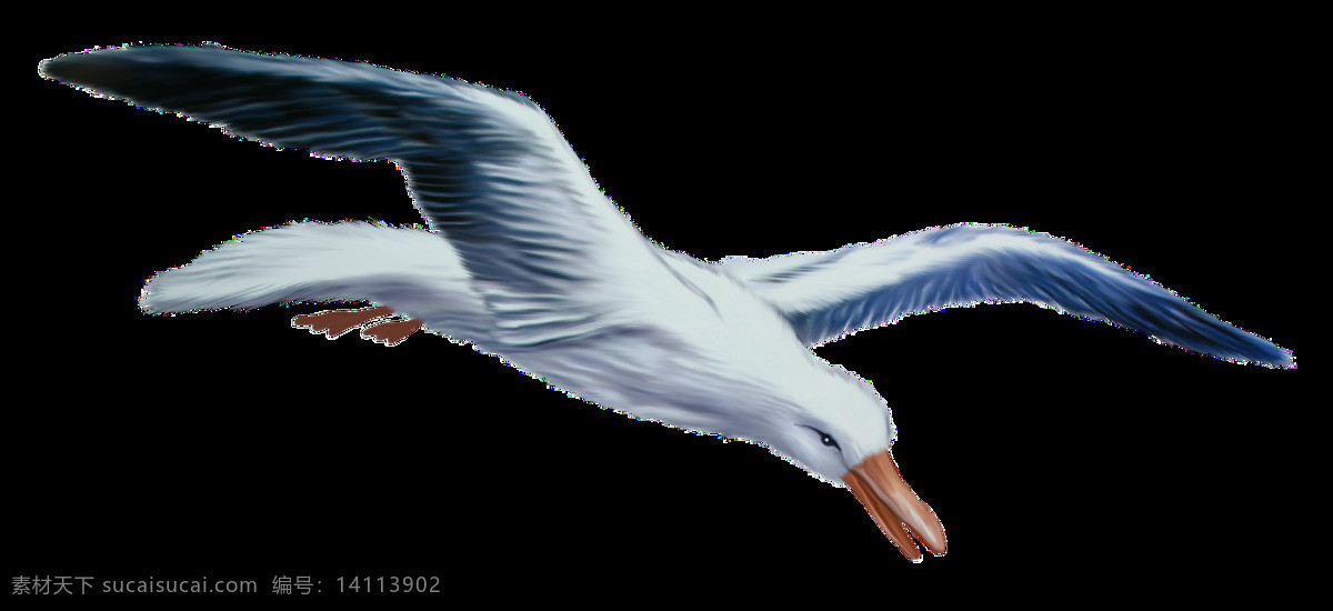 手绘 自由 飞翔 白色 小鸟 透明 展翅高飞 尖嘴 翅膀 免扣素材 透明素材