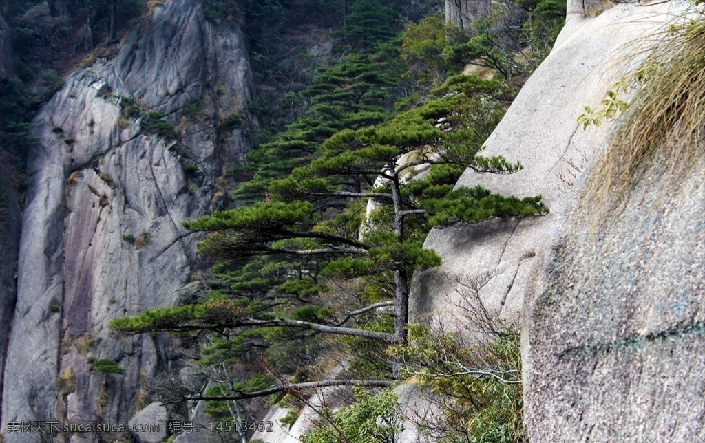 黄山一迎客松 云海 意境画 旅游 日出 景观 水墨山水 水墨画 水墨黄山 风景 风景画 黄山云海 黄山归来 不看岳 黄山摄影 黄山风景 安徽 黄山风光 摄影作品 自然景观 自然风景
