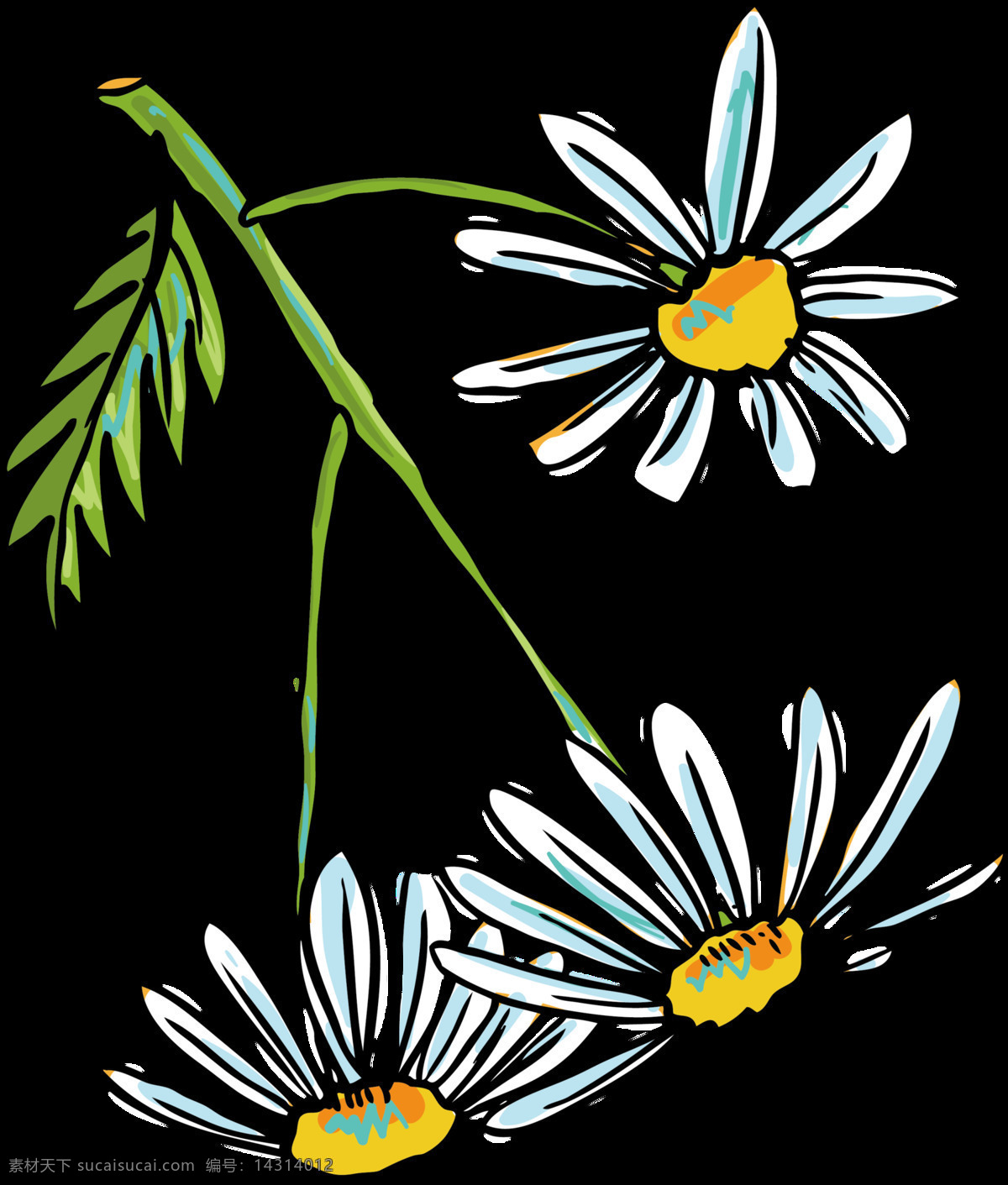 清新 手绘 菊花 装饰 元素 花枝 黄色花蕊 蓝色花朵 植物 装饰元素