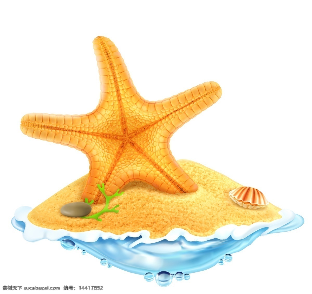 精美 海星 矢量 海草 贝壳 鹅卵石 沙滩 大海 夏季 扇贝 动漫动画 风景漫画