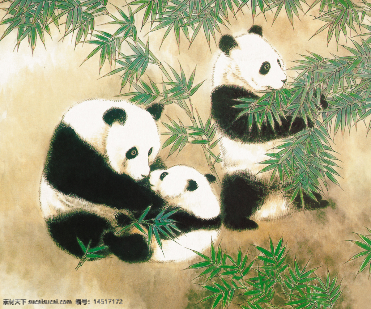 熊猫 一家子 精品 绘画 工笔 文化艺术 绘画书法 设计图库