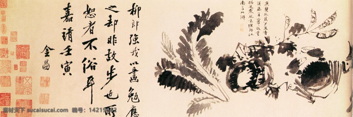 水墨 花卉 图 花鸟画 水墨花卉图 徐渭 中国传世名画 古典花鸟画 文化艺术
