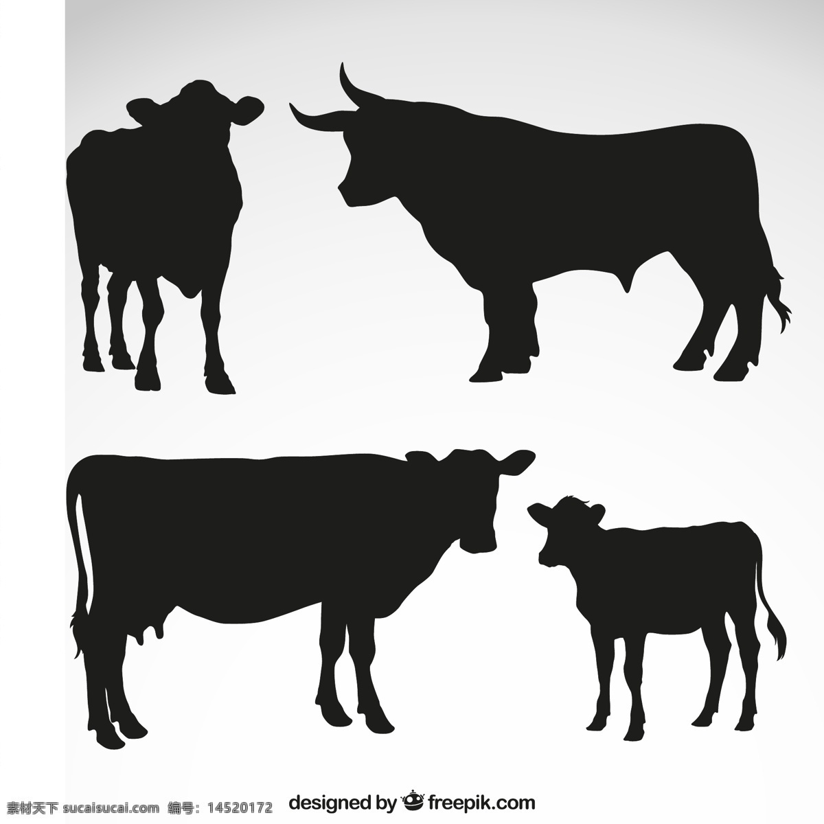 黑色 牛 剪影 矢量 农场 家畜 动物 奶牛 高清图片