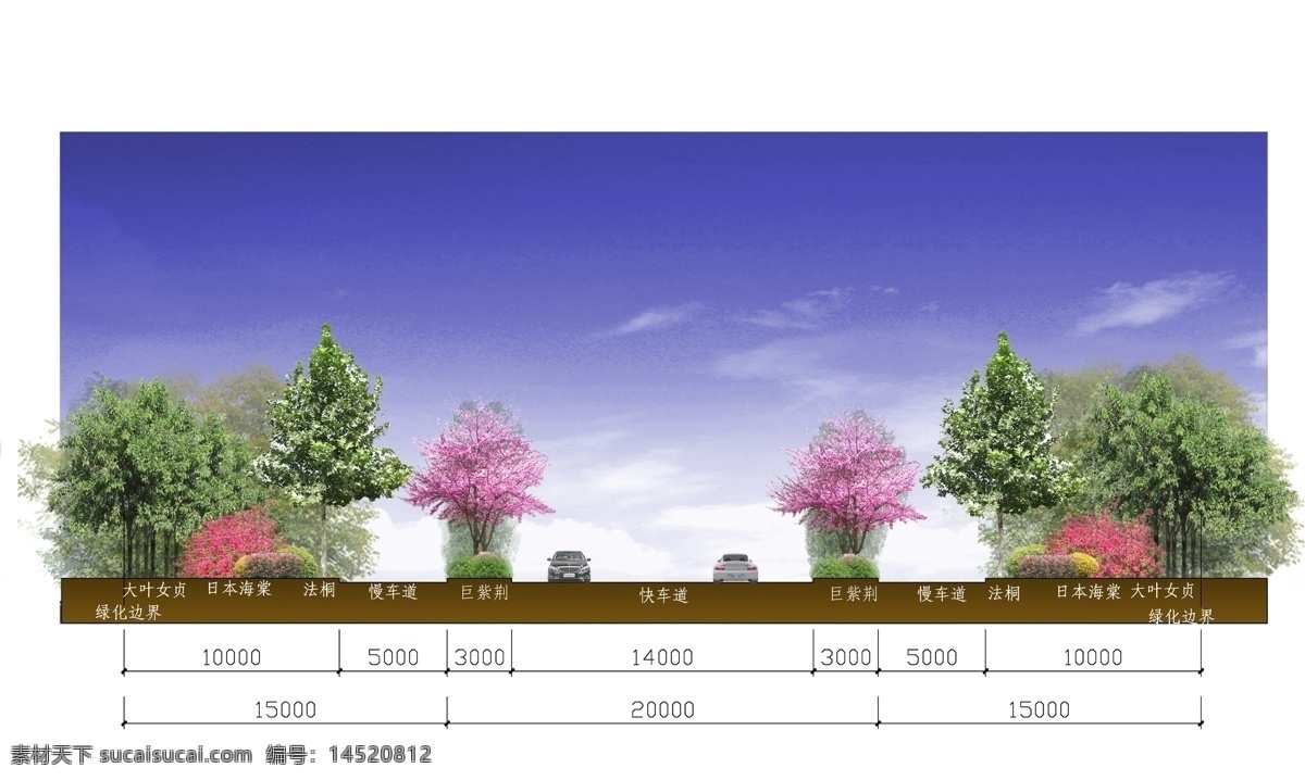 道路 剖面 效果图 植物配置 里面 生态廊道 法桐 巨紫荆 红叶石楠 环境设计 景观设计