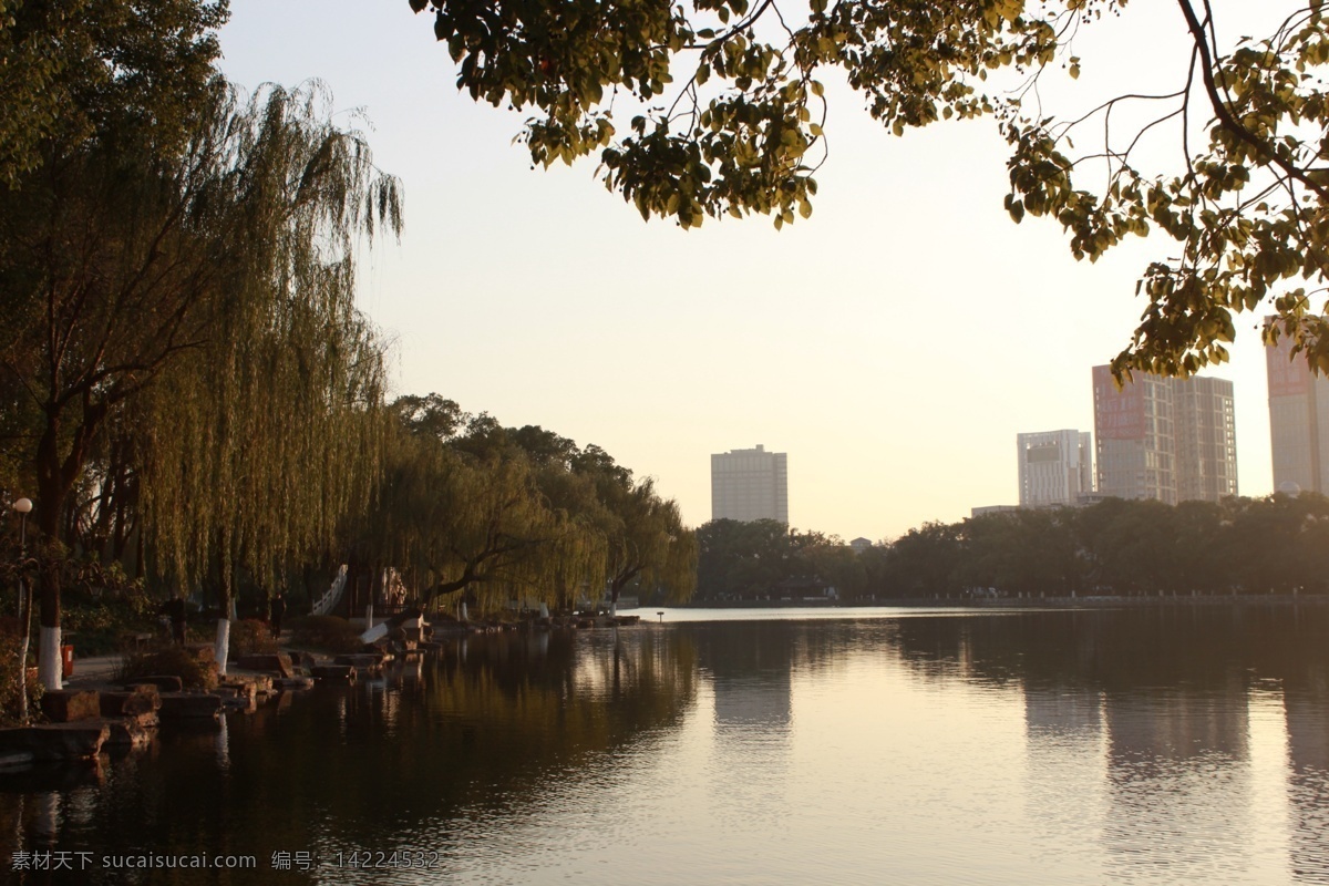 宁波月湖 月湖 夕阳 树 湖 建筑 远景 自然景观 风景名胜