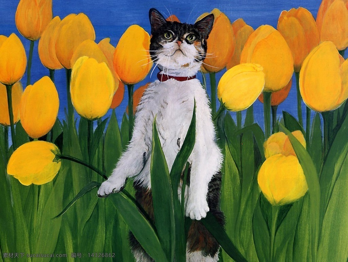 猫咪 宠物 手绘画31猫 手绘画 设计素材 家禽家畜 动物插图 书画美术 橙色
