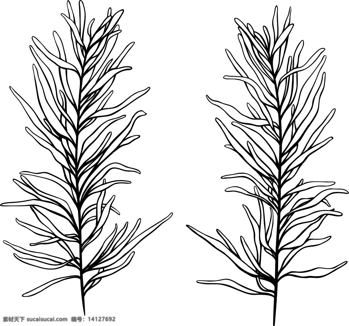 向量 热带 植物 矢量图 其他矢量图