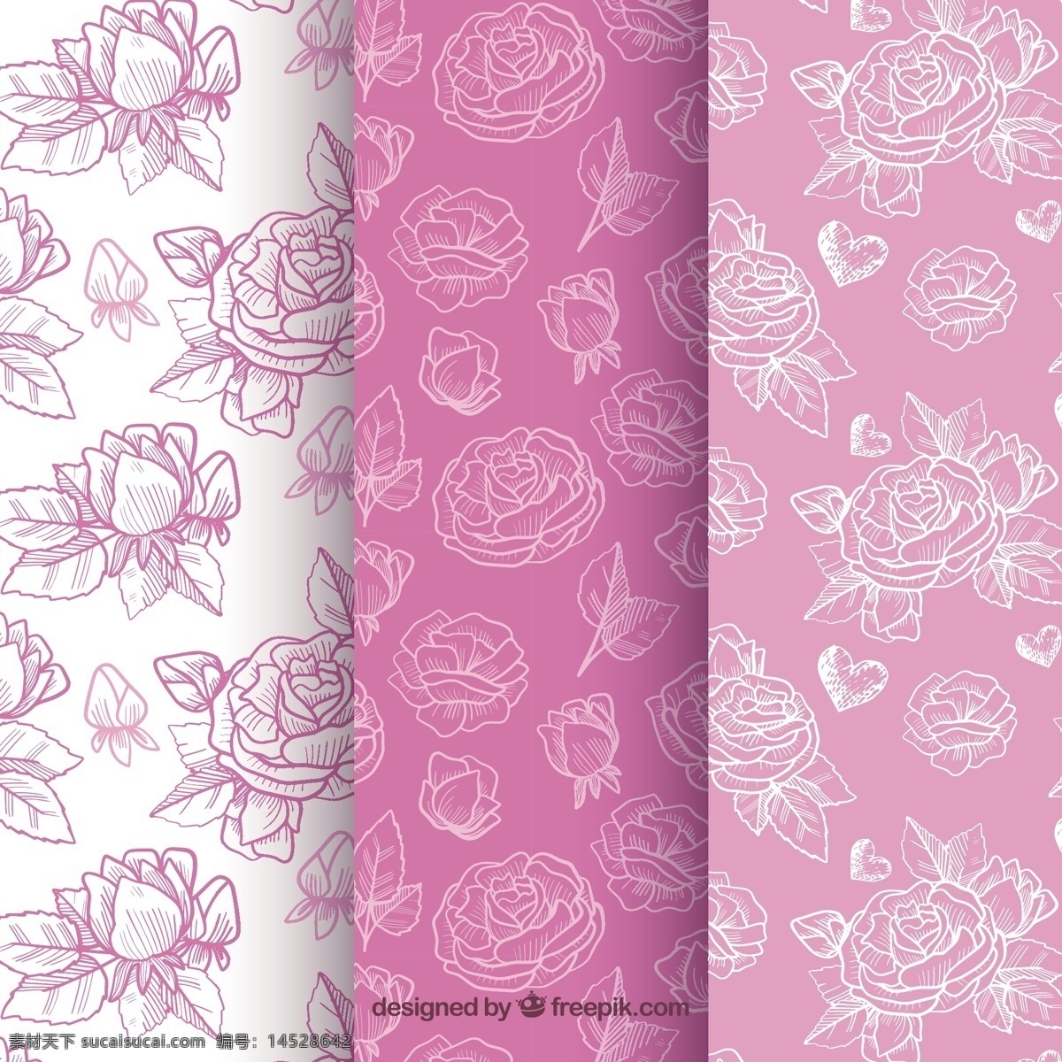 紫色 玫瑰 装饰 图案 背景 花卉 手 自然 花卉背景 手绘 花卉图案 春天 颜色 植物