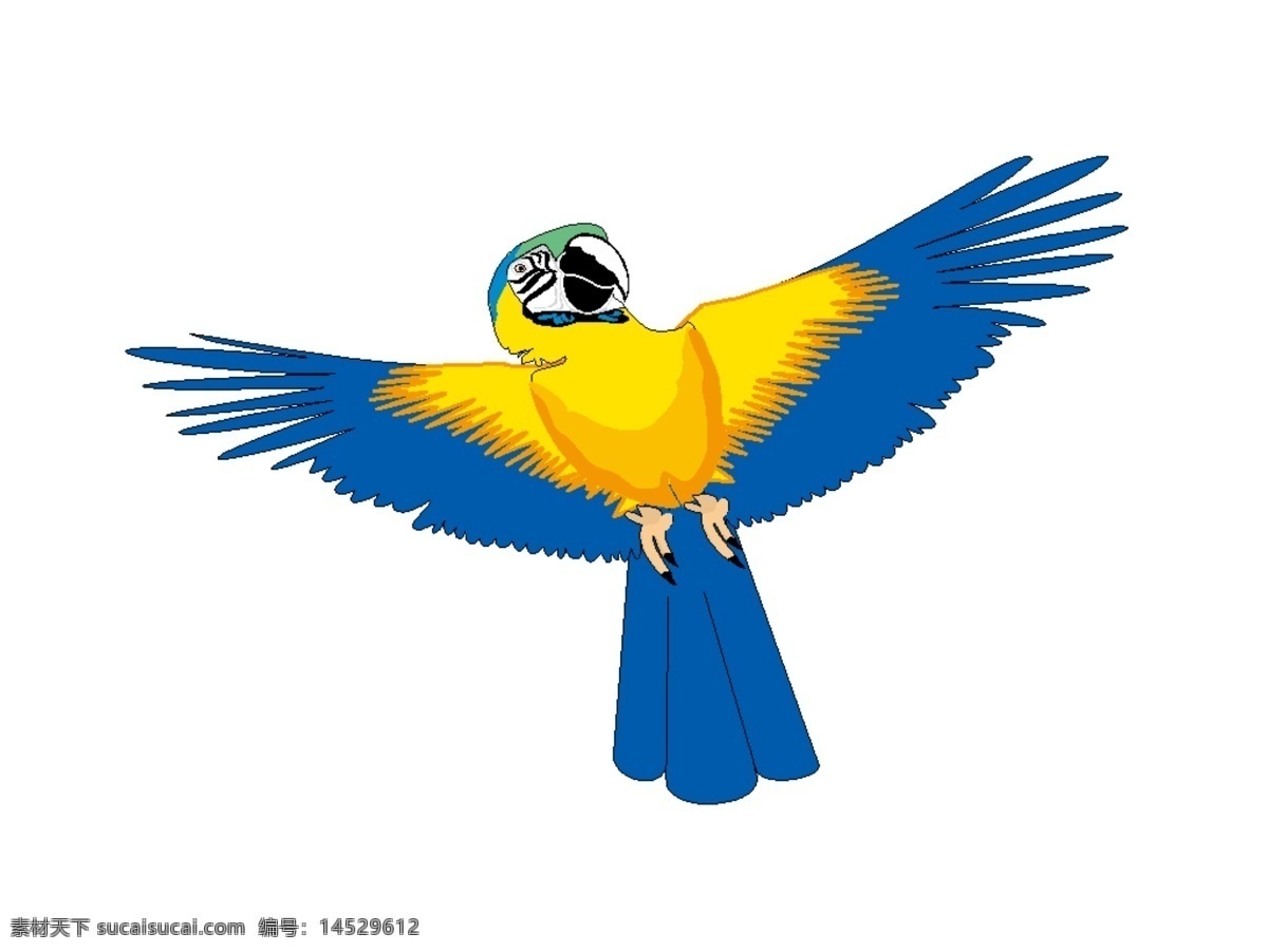 鸟61 鹦鹉 生物世界 鸟类 百鸟图 矢量图库 wmf