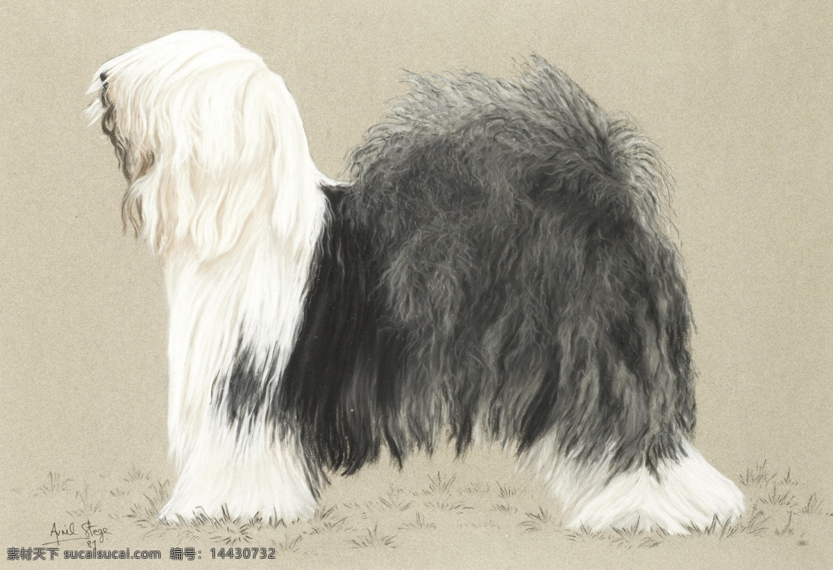 欧式油画 宫廷 装饰画 海报 无框画 复古 抽象 犬类 狗狗 萌宠 油画 文化艺术 绘画书法