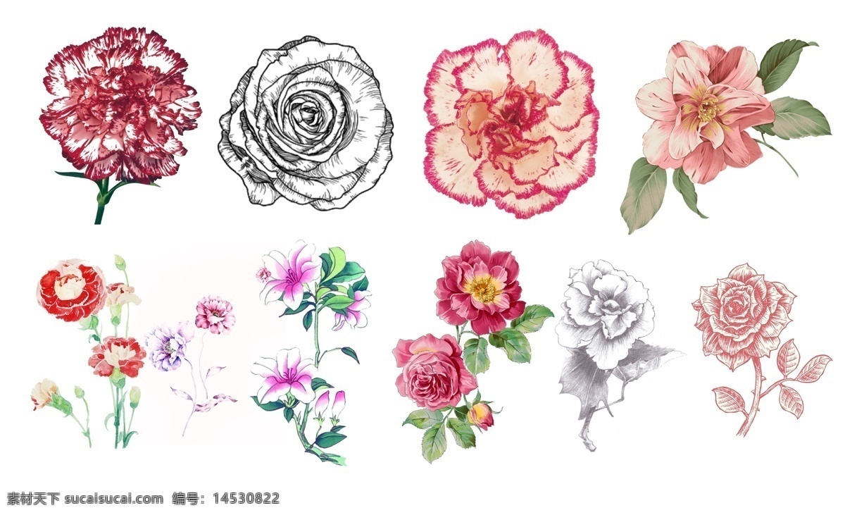 花朵 康乃馨 玫瑰 杜鹃 石竹 暖 色系 小 清新 简 笔画 小清新 简笔画 唯美 浪漫 月季 花 粉色系 手绘花朵 暖色系