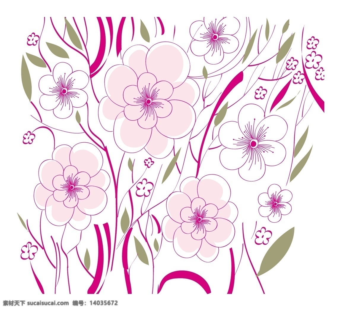 精美 鲜花 插画 背景 白色