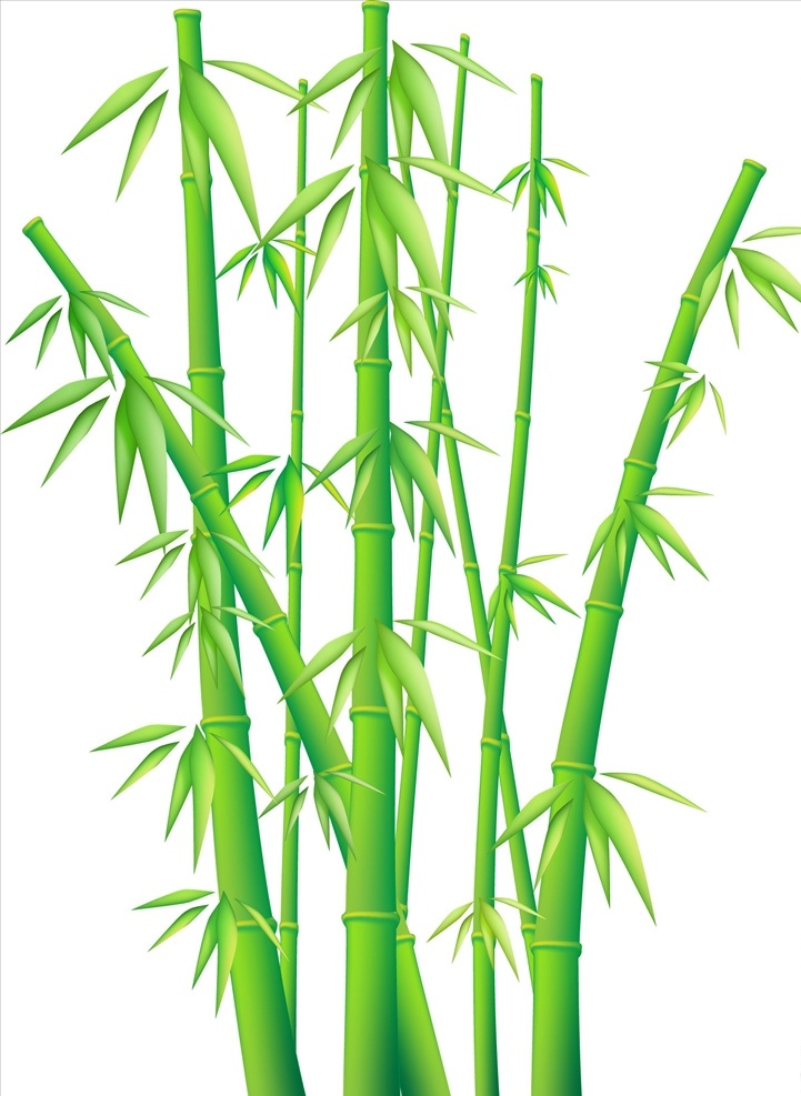 矢量手绘竹子 手绘 彩绘 水彩 绿色 植物 元素 小清新 竹子 竹竿