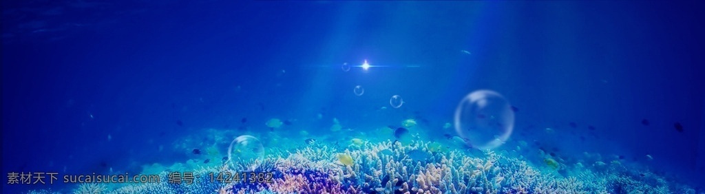 海底世界背景 海底世界 海底 世界 大海 生物世界 海洋生物