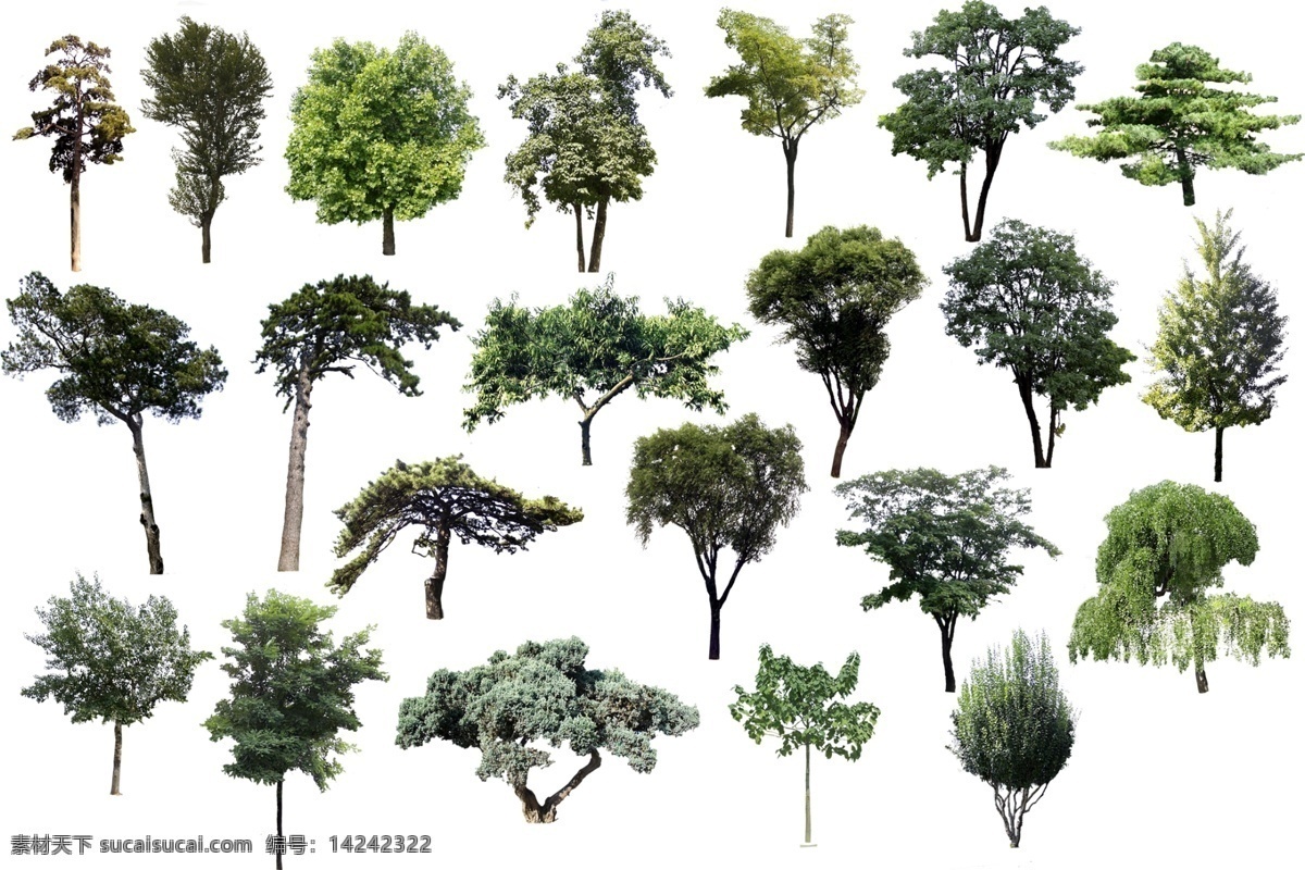 树木 免 扣 分层 树 绿植 园林 植物 分层素材 自然景观 建筑园林