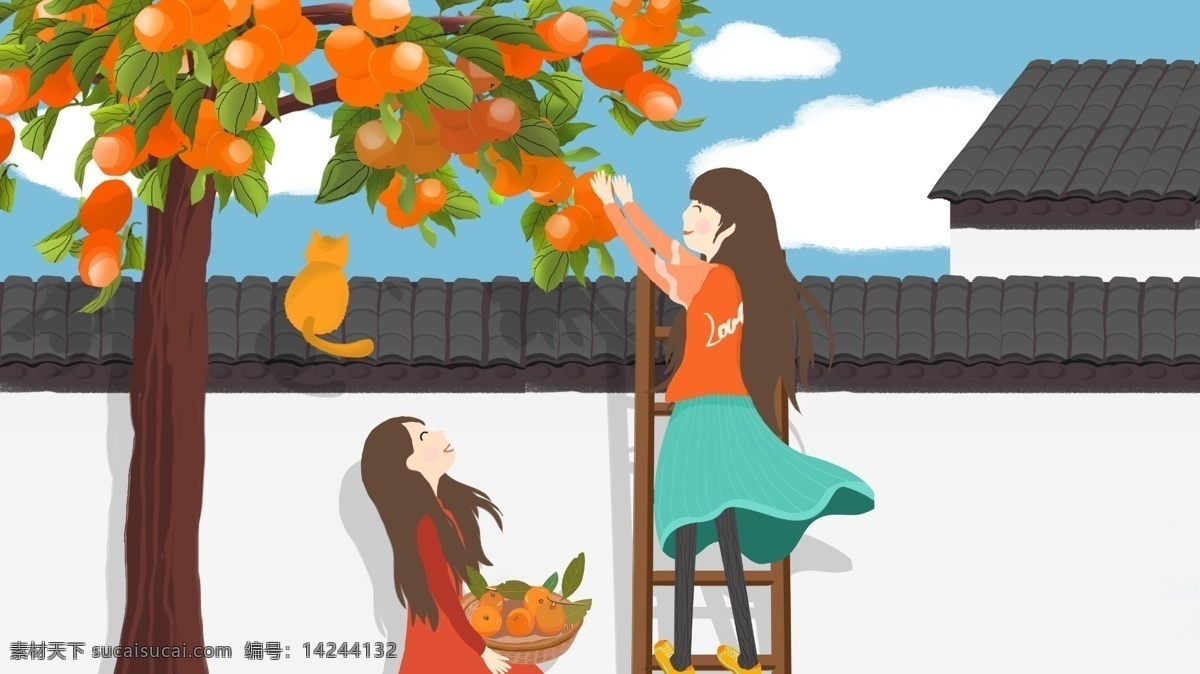 寒露 爬 梯子 摘 柑橘 姐妹 闺蜜 女孩 少女 猫咪 爬梯子 摘柑橘 好友 老家 白墙灰瓦 橘子树