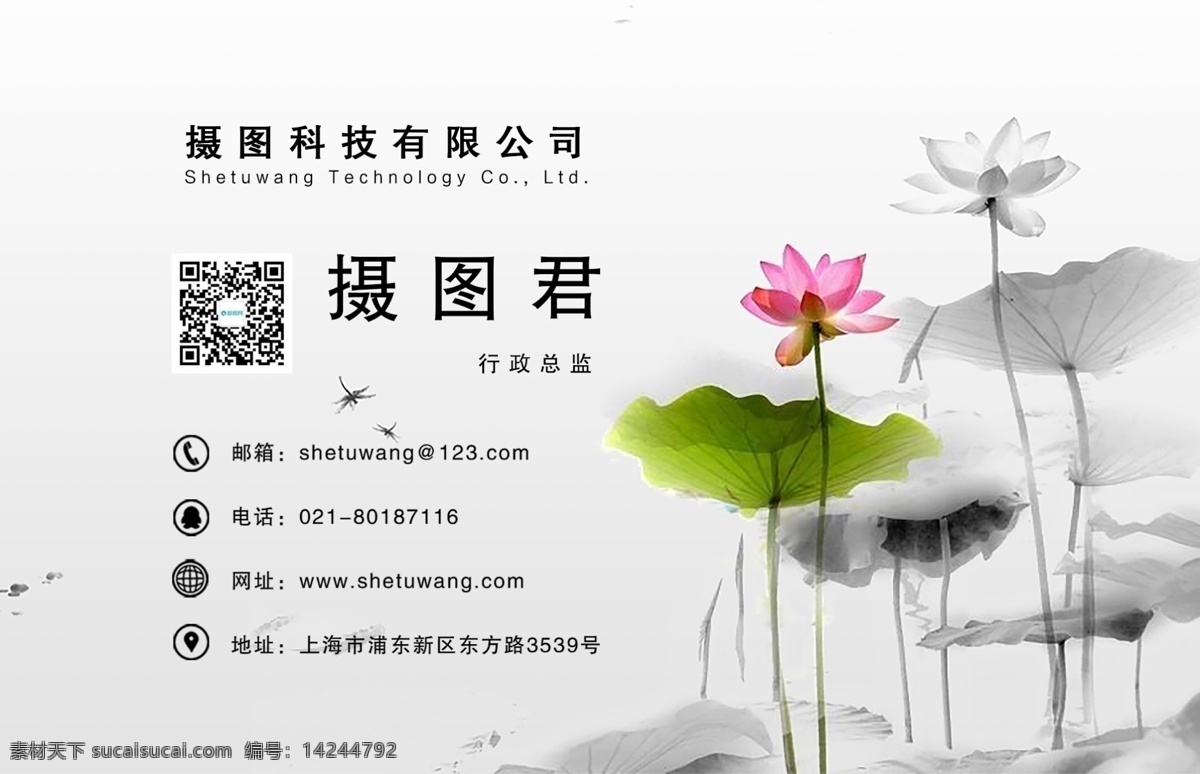 荷花 风景图片 商务 名片设计 模板 风景 简洁 名片 简约 通用名片 名片模板 个人 企业