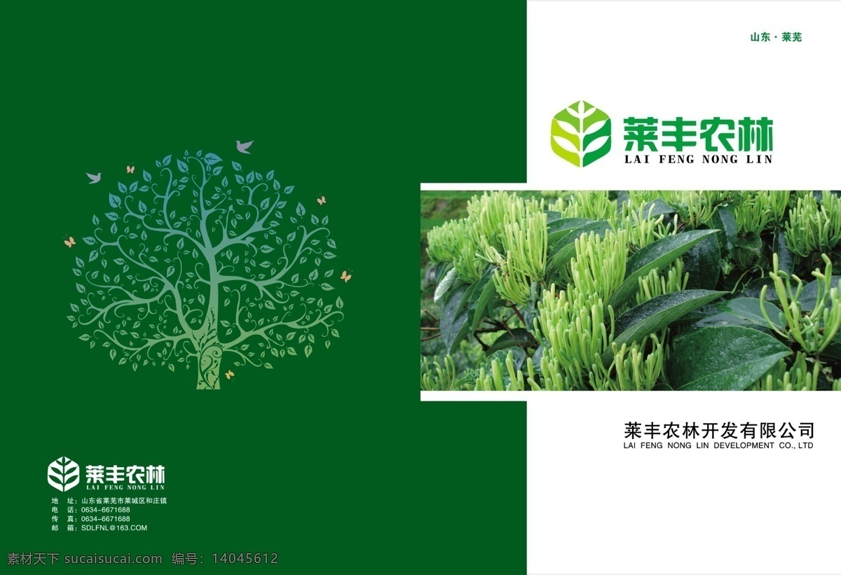广告设计模板 桂花 黑豆 画册设计 环保 金银花 林木 绿色 农业 蔬菜水果 招商 手册 宣传册 水果 蔬菜 红冠桃 黑花生 紫薯 源文件 其他画册封面