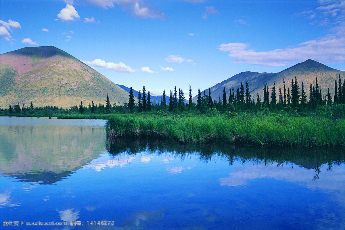 树免费下载 风景 山 山水风景 摄影图 树 植物 自然景观 水 家居装饰素材 山水风景画