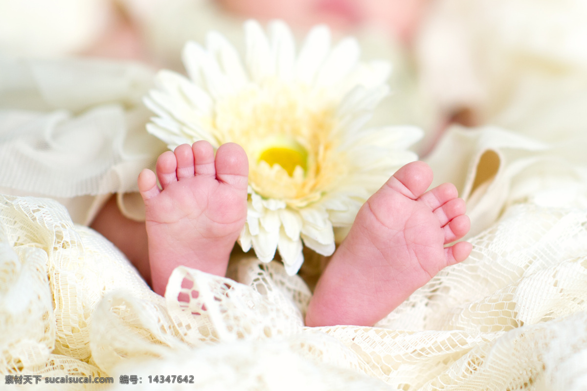 鲜花 小 脚丫 婴儿的脚 小脚丫 宝宝的脚 小孩子 小脚板 花朵 呵护 婴幼儿 新生儿 人体器官图 人物图片