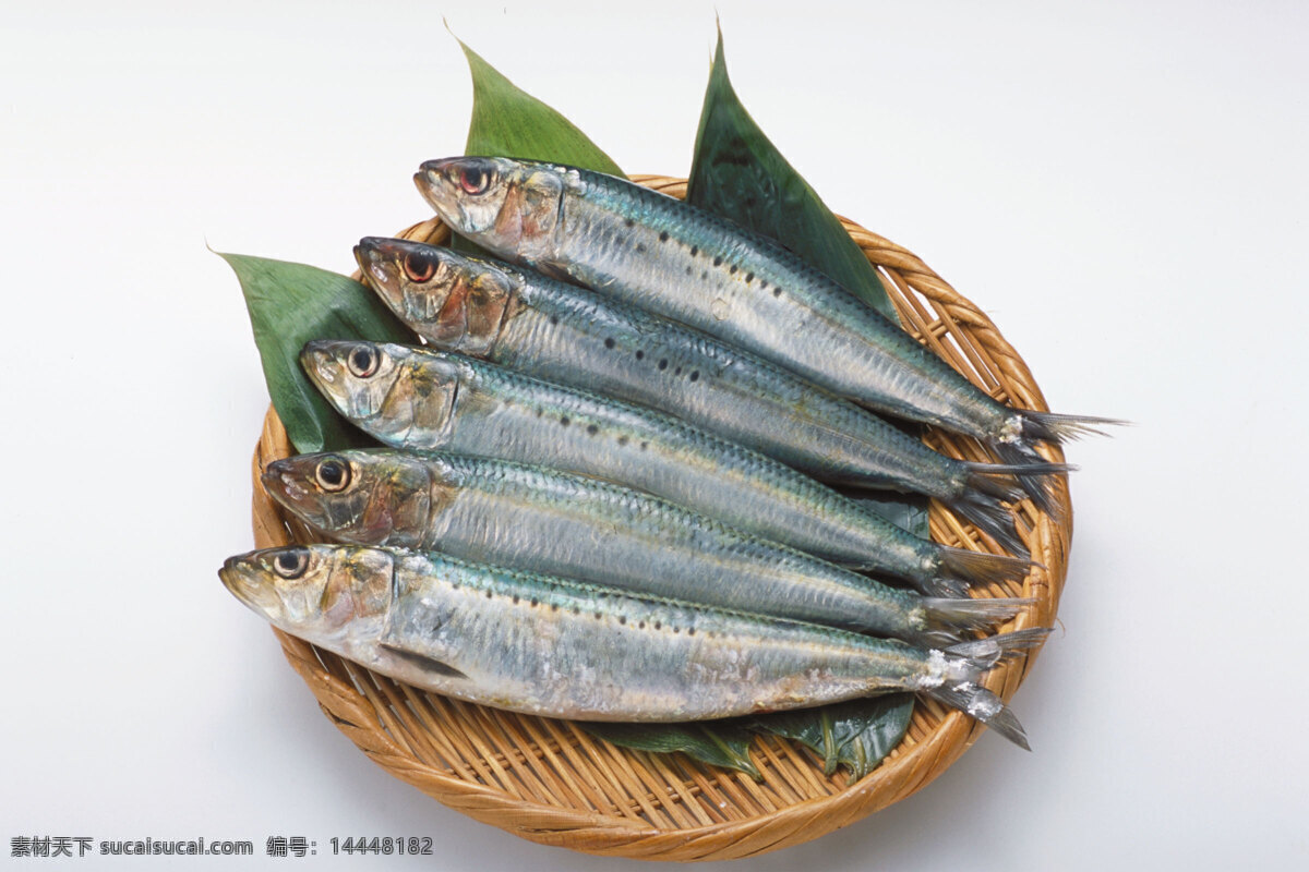 海洋鱼类 餐饮美食 海鲜 海洋生物 海鱼 美味 食物原料 鱼类 洋鱼类 海洋资源 生物世界