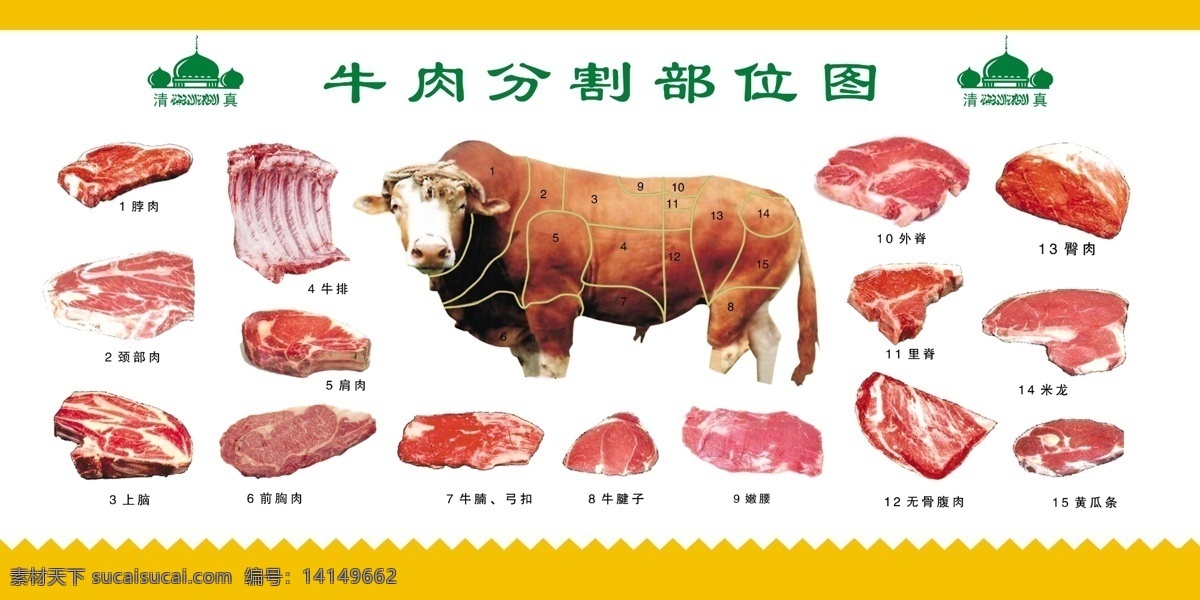 牛肉 分割 部位 图 分 害 牛肉分割 牛 肉牛 清真 分层 源文件