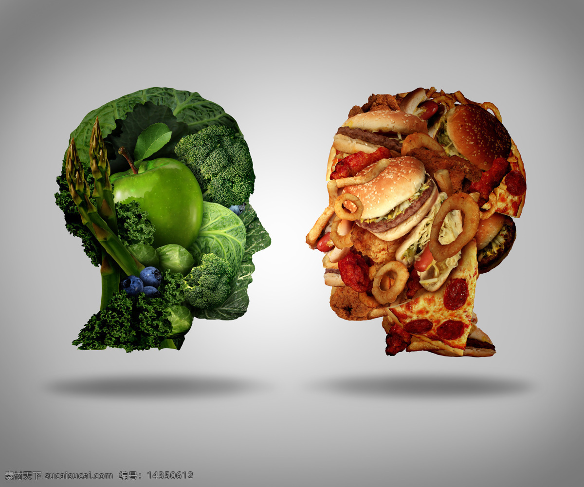 水果 蔬菜 人脑 垃圾 食品 饮食健康 饮食 水果蔬菜 绿色蔬菜 垃圾食品 创意人脑 其他类别 生活百科 灰色