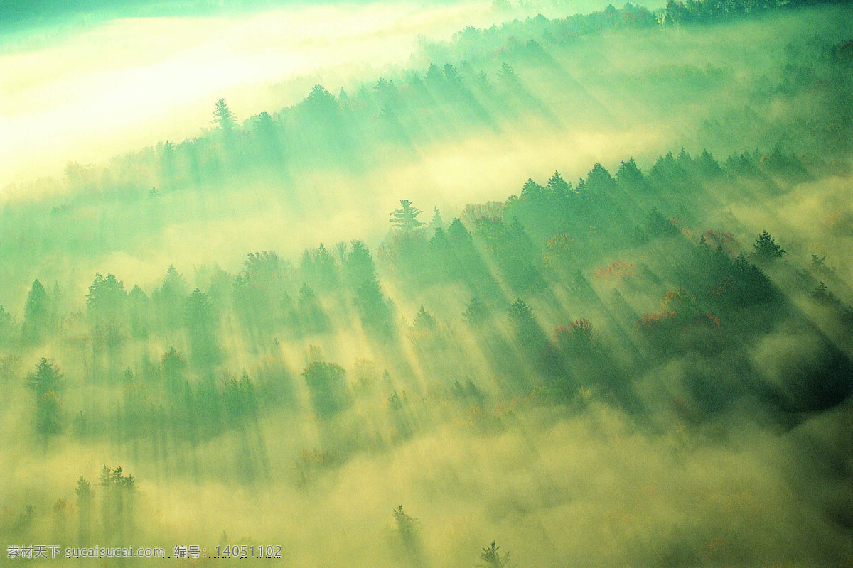 自然风景 丛林 高山 森林