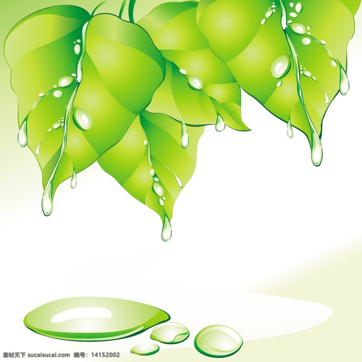 绿色 树叶 水珠 绿色背景图片 绿色素材 绿色植物 矢量图 花纹花边