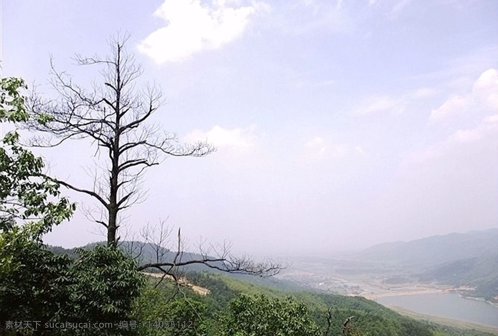 松树 高山 蓝天 独树一帜 白云 大地 国内旅游 旅游摄影