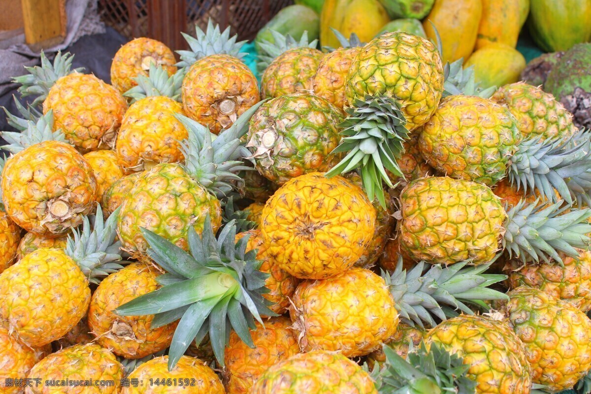 pineapple 黄梨 凤梨 木菠萝 水果 食物 食品 新鲜水果 绿色食品 健康食品 健康食物 果实 热带水果 鲜果 农副产品 菠萝背景 菠萝壁纸 菠萝贴图 生物世界