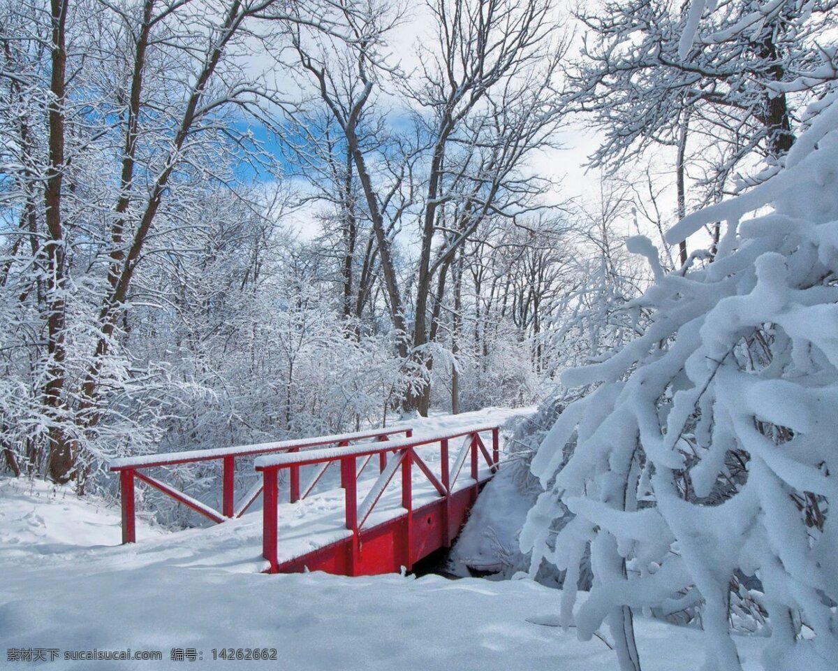 纯美的雪景 雪景 雪花 纯白 下雪 纯洁 风景 自然景观 自然风景