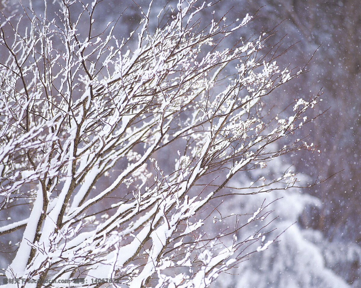 冬天 雪景 背景 冬天雪景 风光 风景 季节 摄影图库 自然 自然风景 自然景观 生活 旅游餐饮