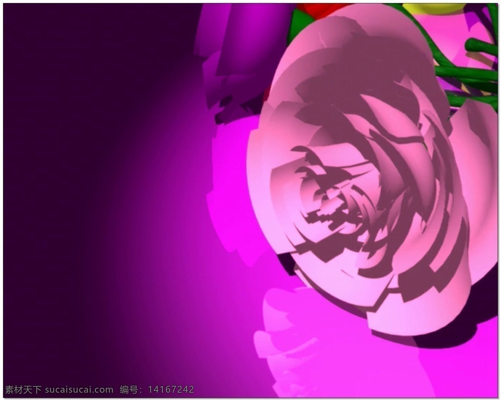 紫色 花朵 婚礼 片头 视频 背景 玫瑰 浪漫 视频素材 动态视频素材