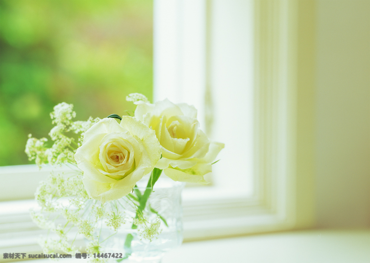窗前花瓶 窗台 花瓶 绿色 高清 白色花朵 生物世界 花草