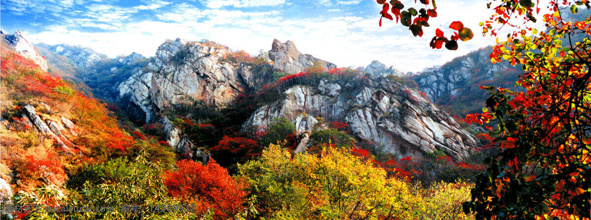 嵩山红叶 特有景色 自然景观 风景名胜 摄影图库