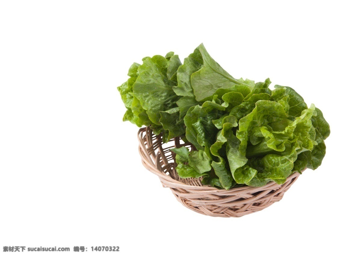 健康 营养 蔬菜 生菜 植物 绿色 火锅 烤串 烧烤 甜食 美食 菜叶 健康营养 食材 食物 素菜 好吃
