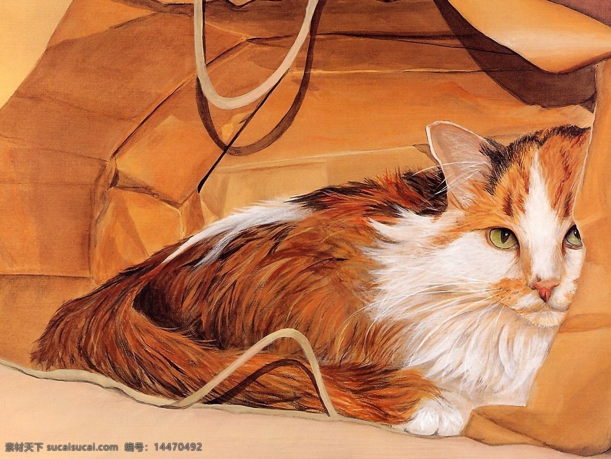 猫咪 宠物 手绘画60猫 手绘画 设计素材 家禽家畜 动物插图 书画美术 橙色